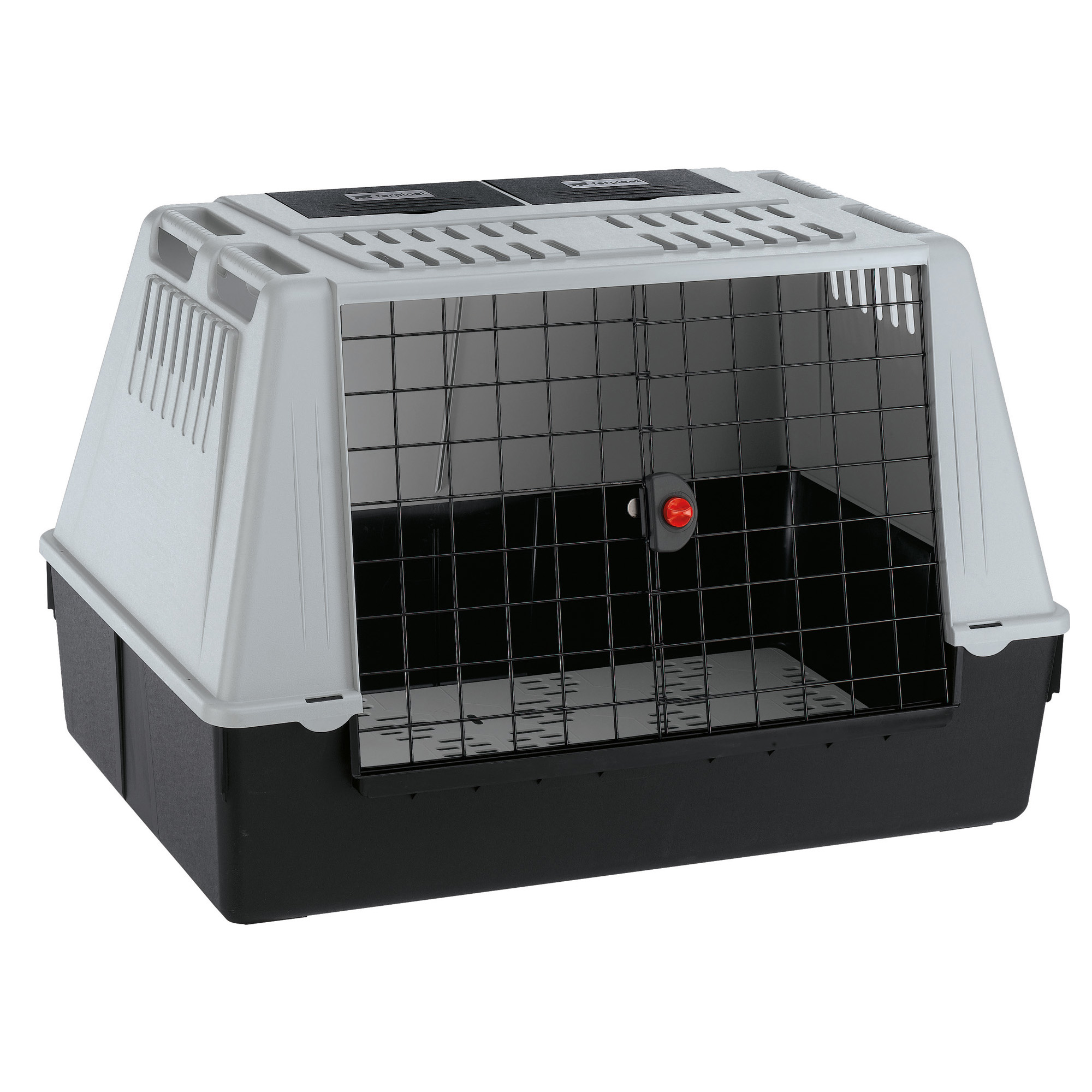 FE TRANSPORTER ATLAS CAR 100 SIVI 100x60x66cm