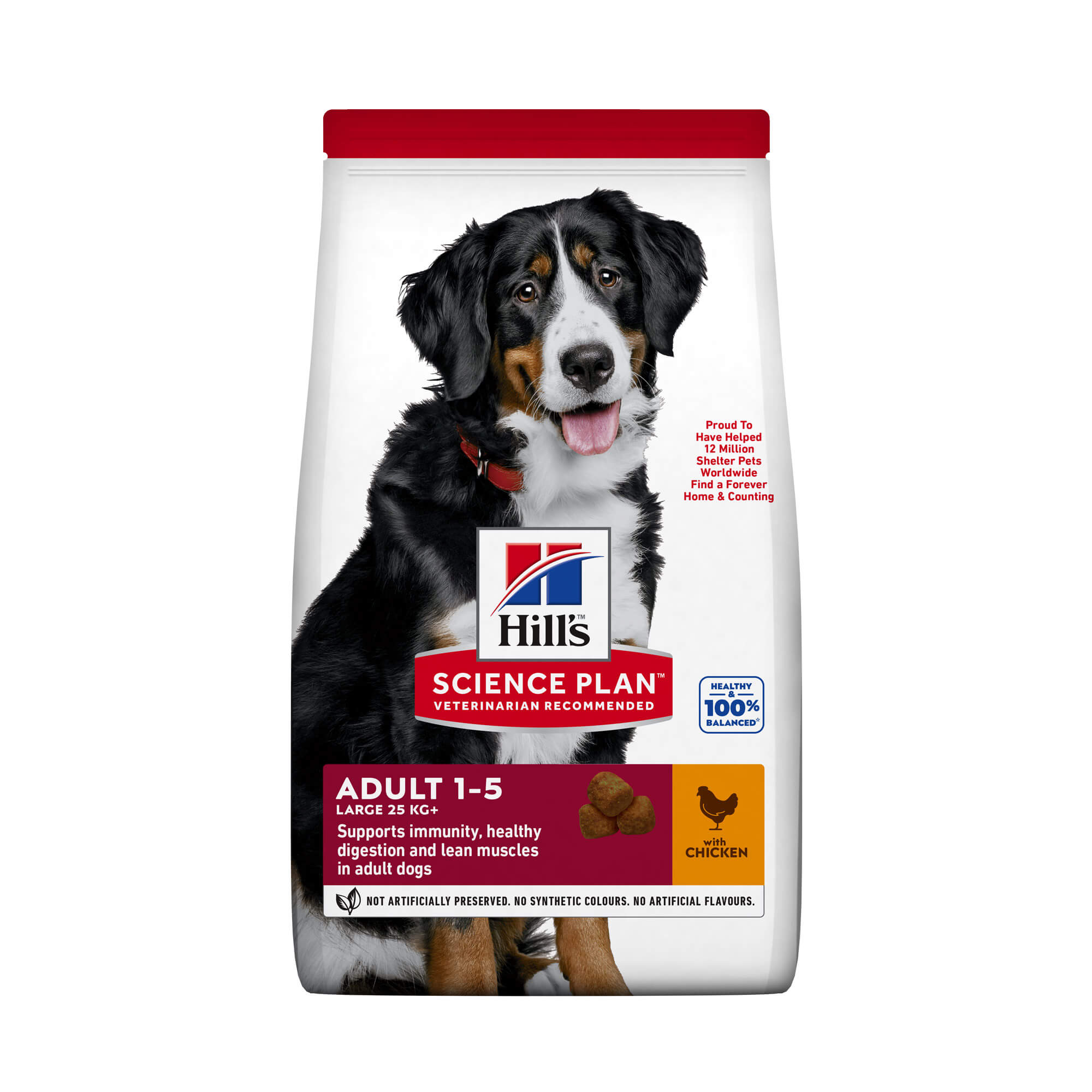 HSPD ADULT LARGE BREED PILETINA 14kg