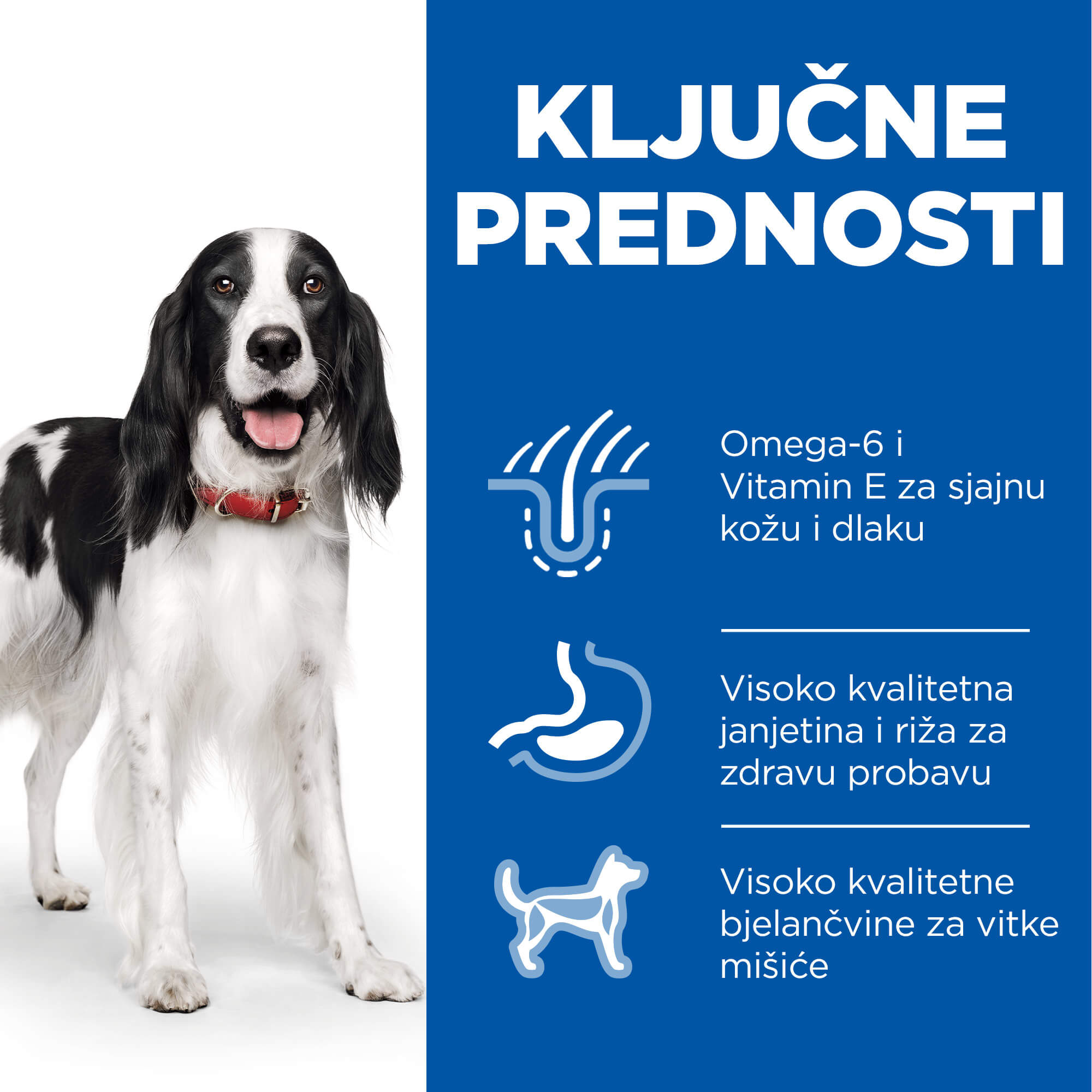 HSPD ADULT MEDIUM JANJETINA I RIŽA 2,5kg - Slika 4