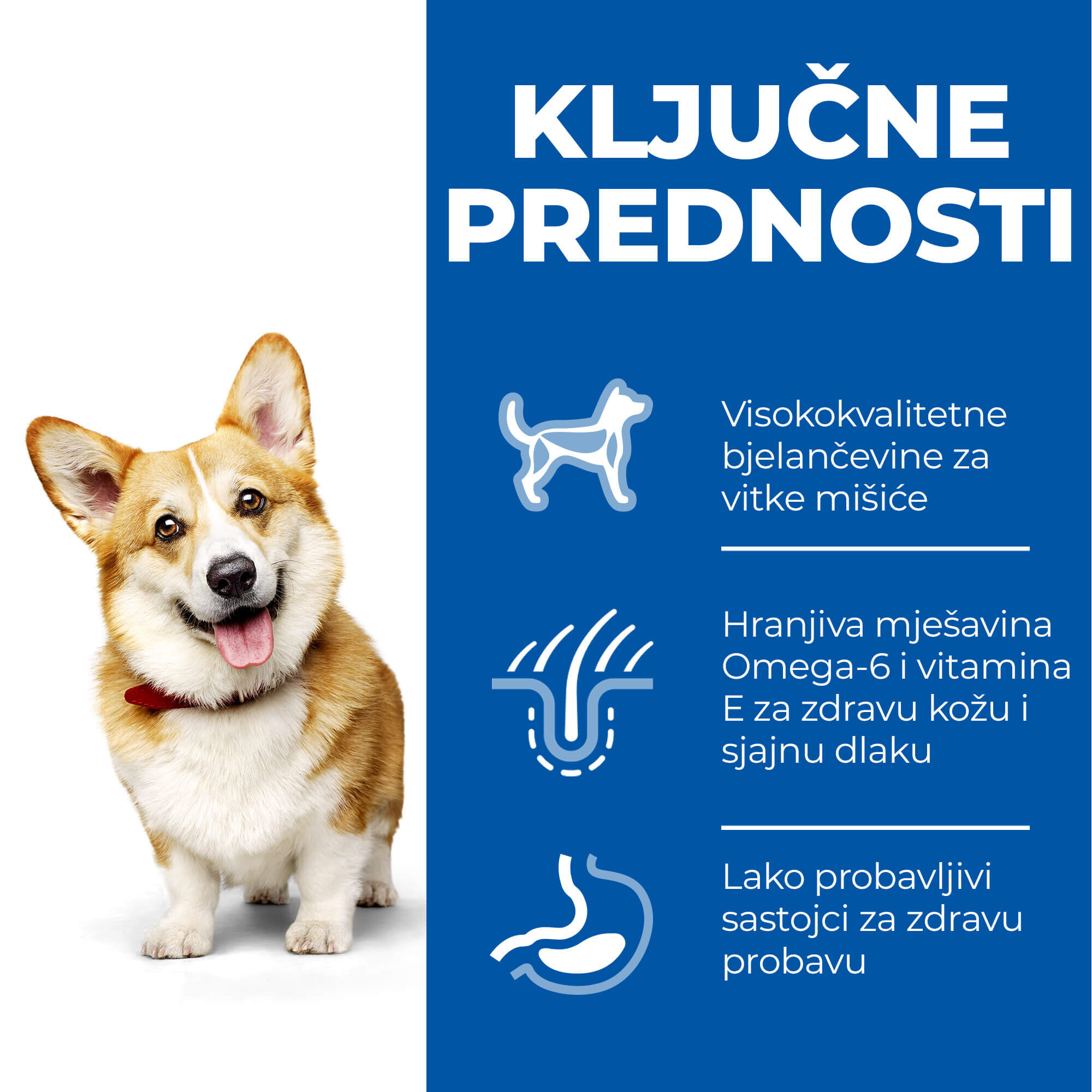 HSPD ADULT SMALL&MINI PILETINA 3kg - Slika 4