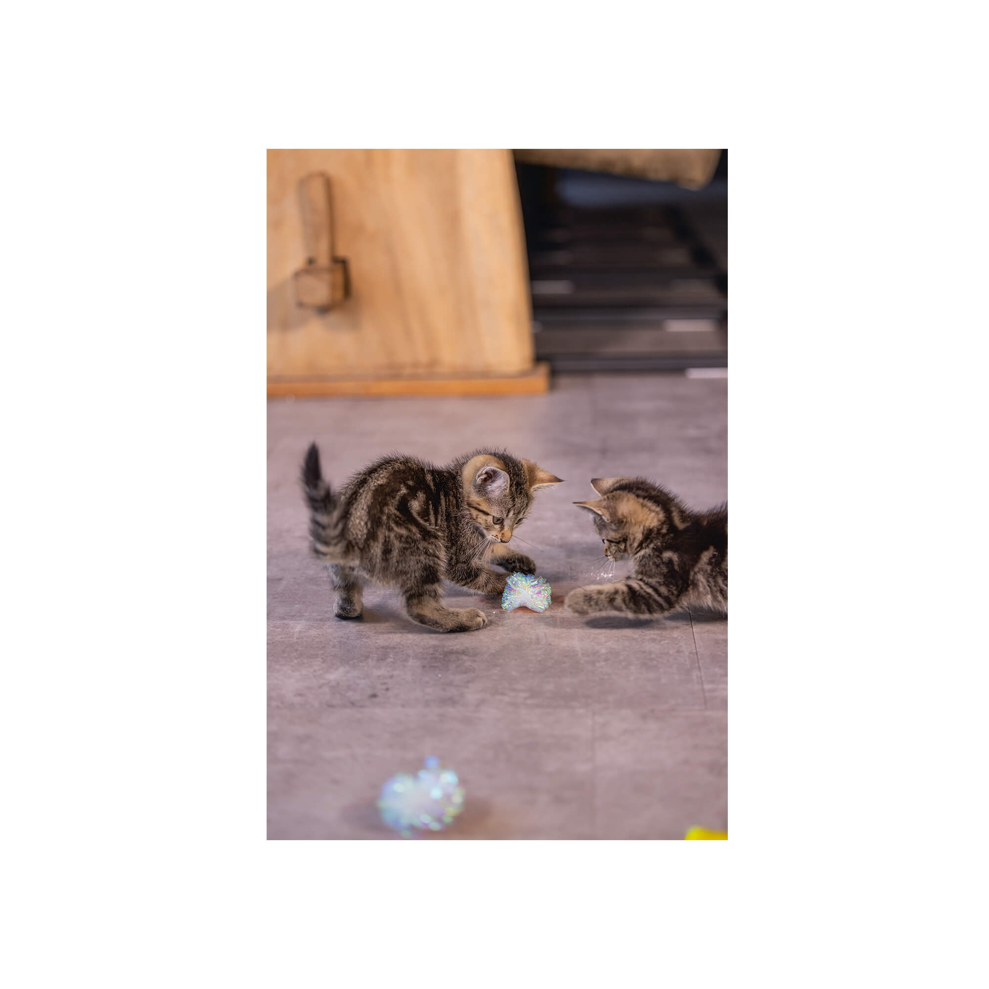 I IGRAČKA ZA MAČKE KITTEN CRINKLE 5cm - 4 kom - Slika 5