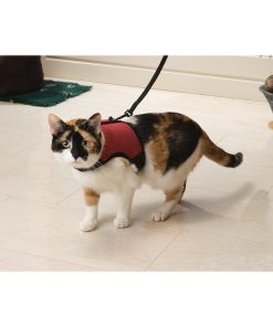 I ORMA ZA MAČKE COMFORT 22-24,5 cm, 30-39 cm