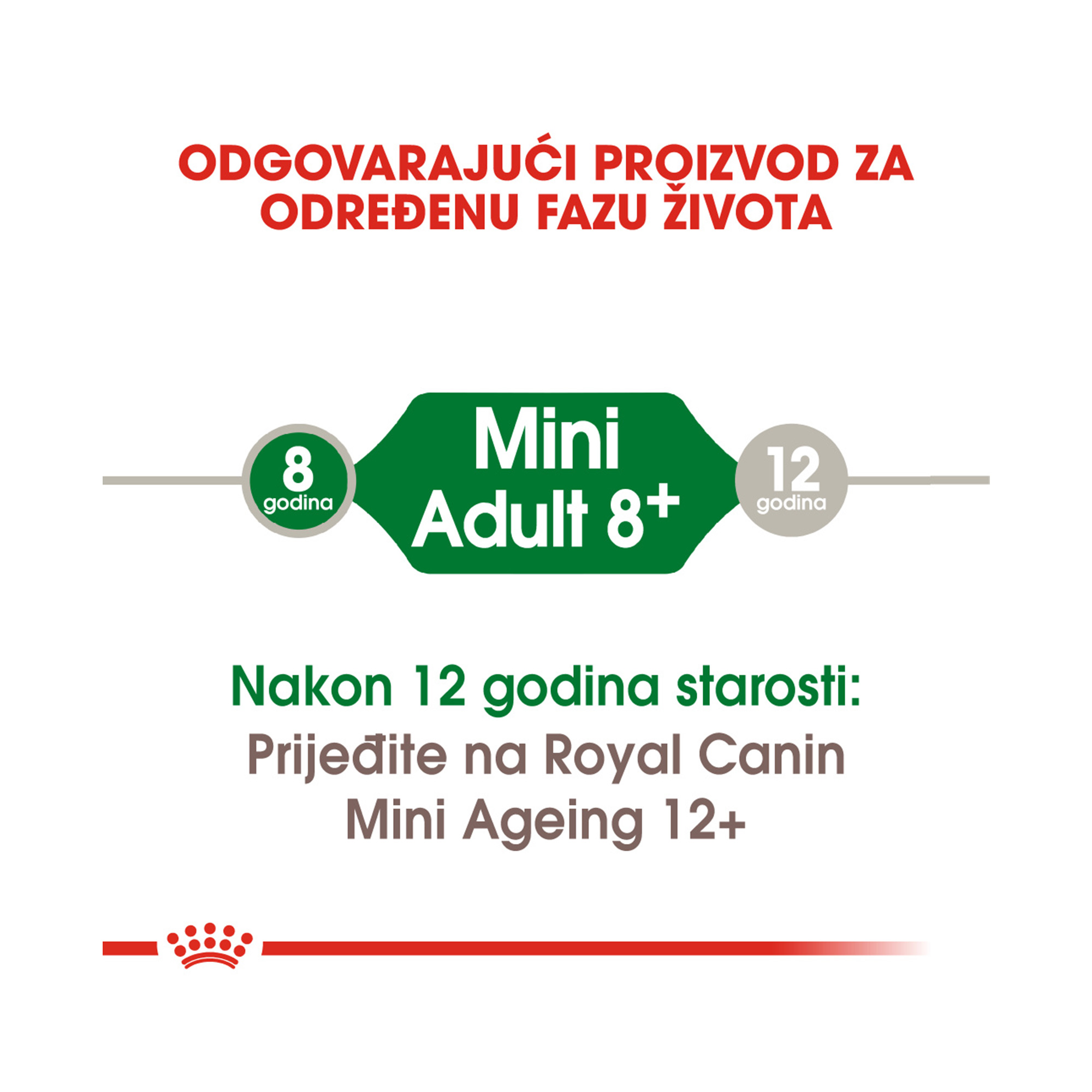 ROYAL CANIN SHN MINI ADULT 8+ 800 g - Slika 4