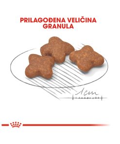 ROYAL CANIN SHN MINI ADULT 8+ 2 kg - Slika 2