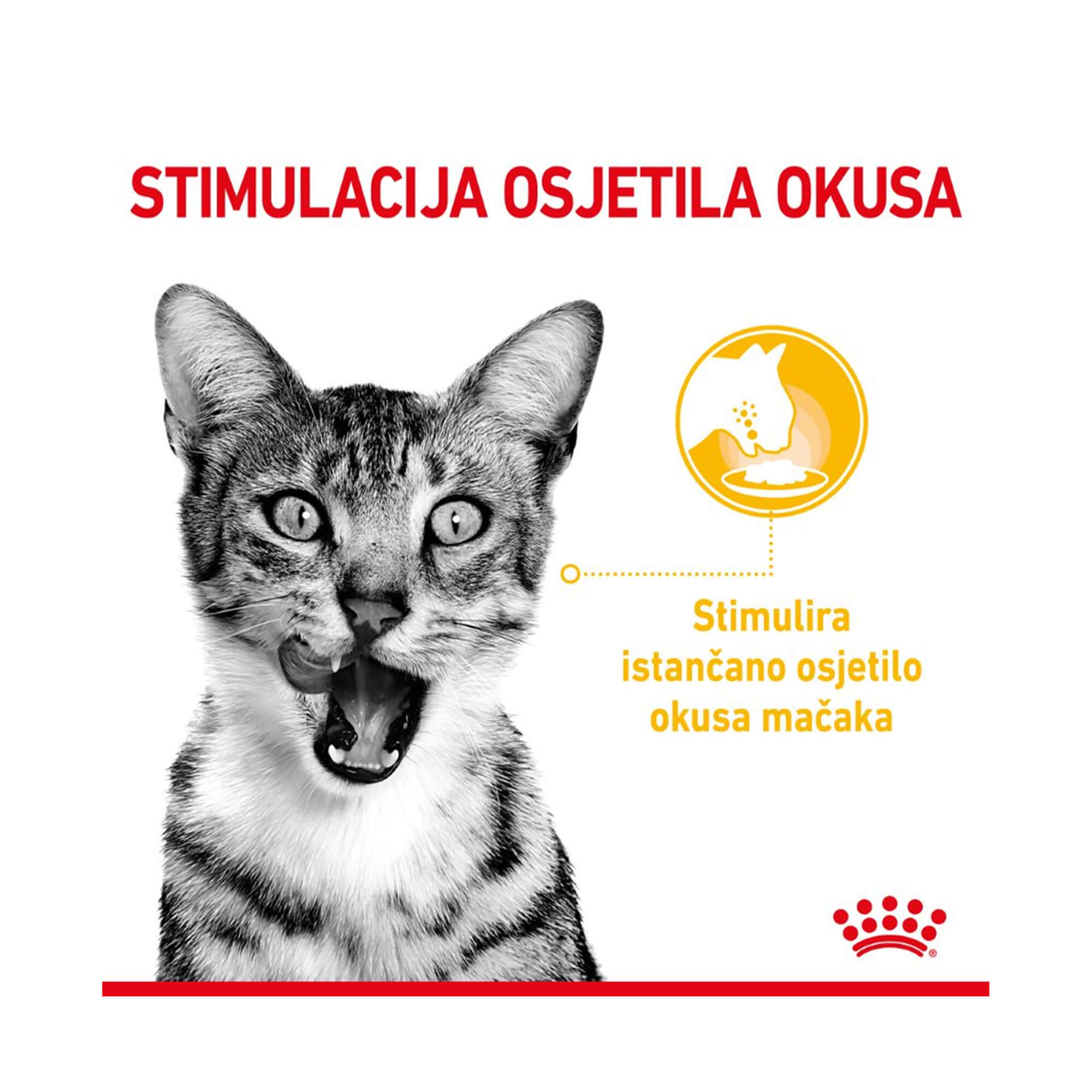 ROYAL CANIN FHN SENSORY TASTE KOMADIĆI U UMAKU 85g - Slika 3