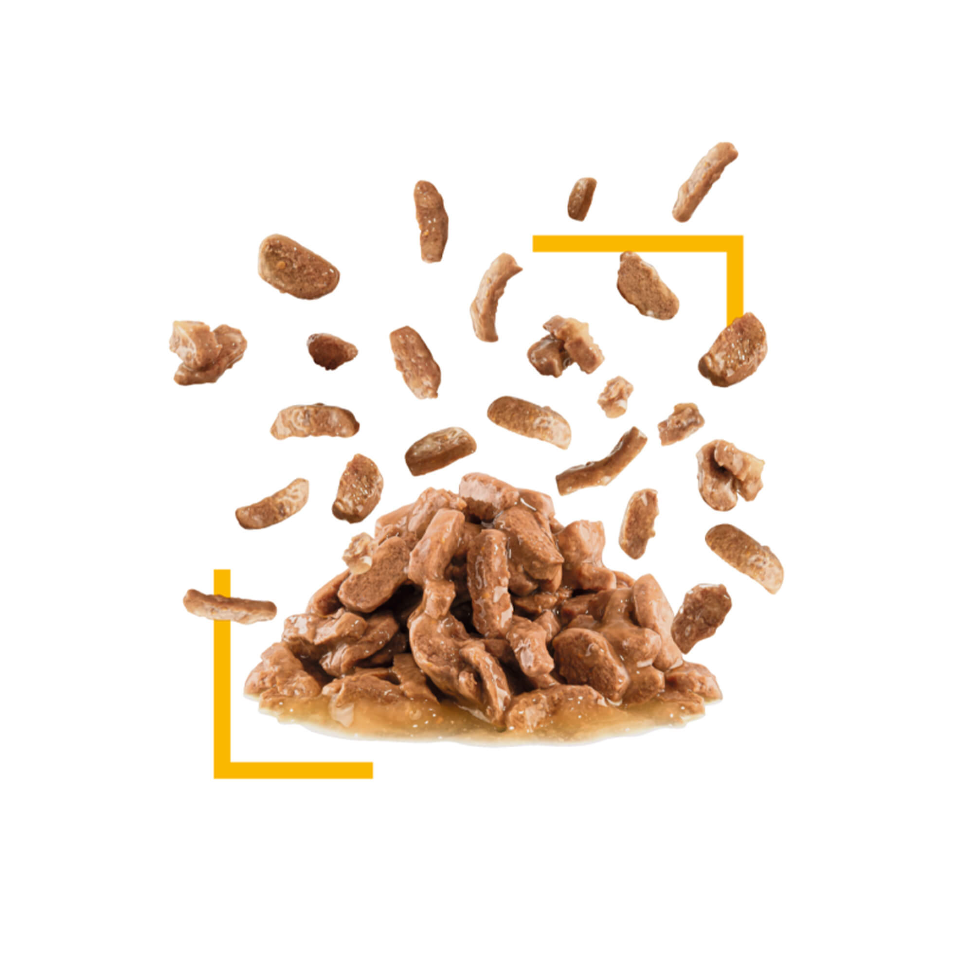 ROYAL CANIN FHN SENSORY TASTE KOMADIĆI U UMAKU 85g - Slika 4