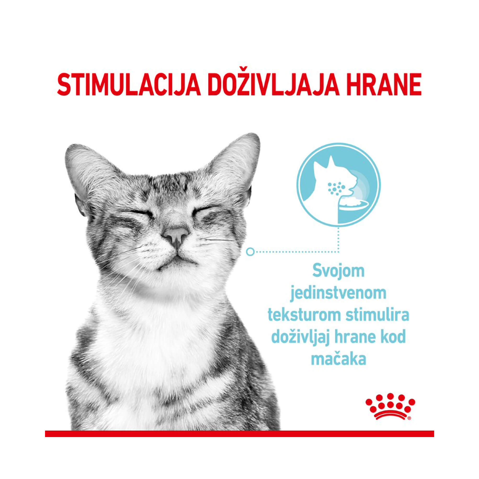 ROYAL CANIN FHN SENSORY FEEL KOMADIĆI U UMAKU 85g - Slika 3