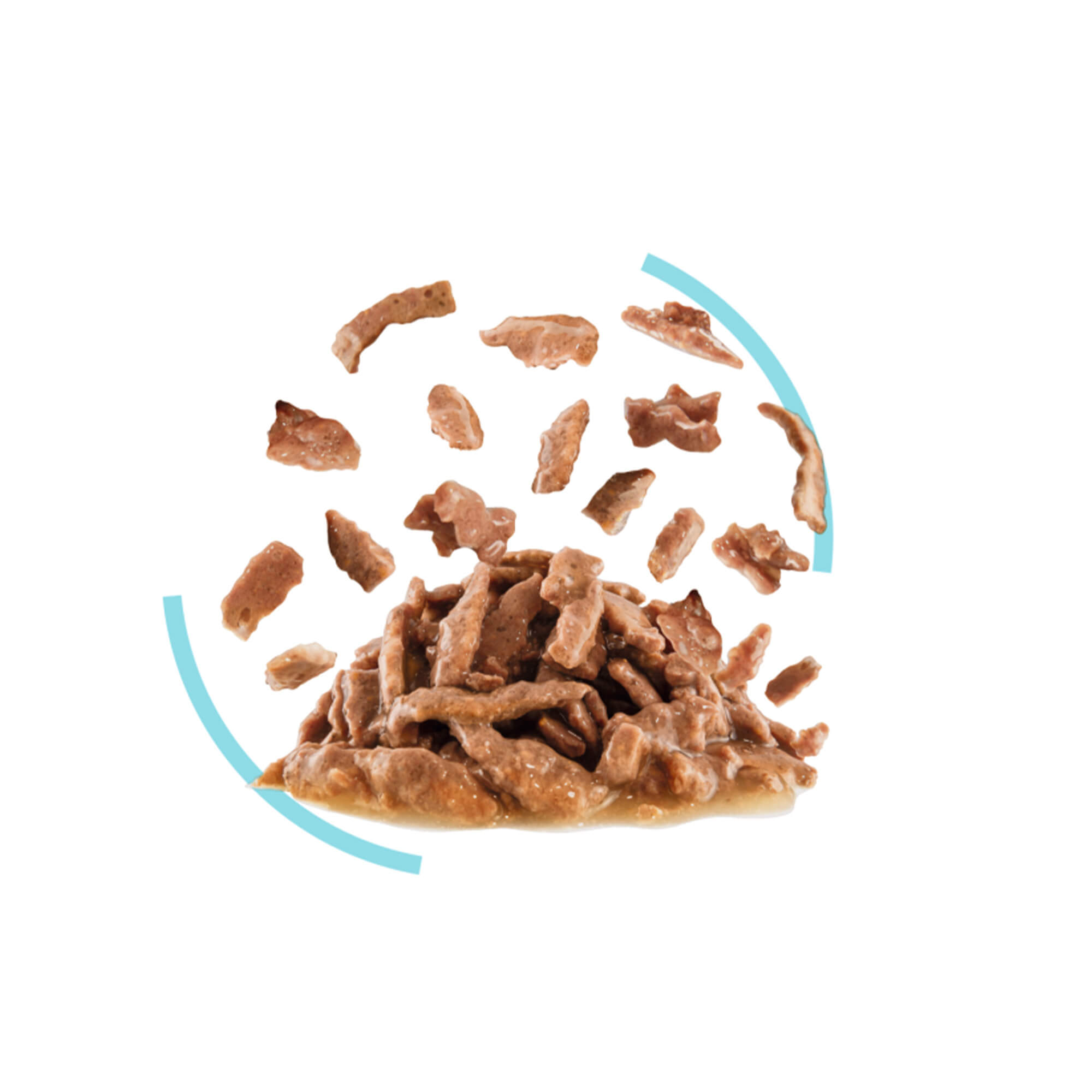 ROYAL CANIN FHN SENSORY FEEL KOMADIĆI U UMAKU 85g - Slika 4