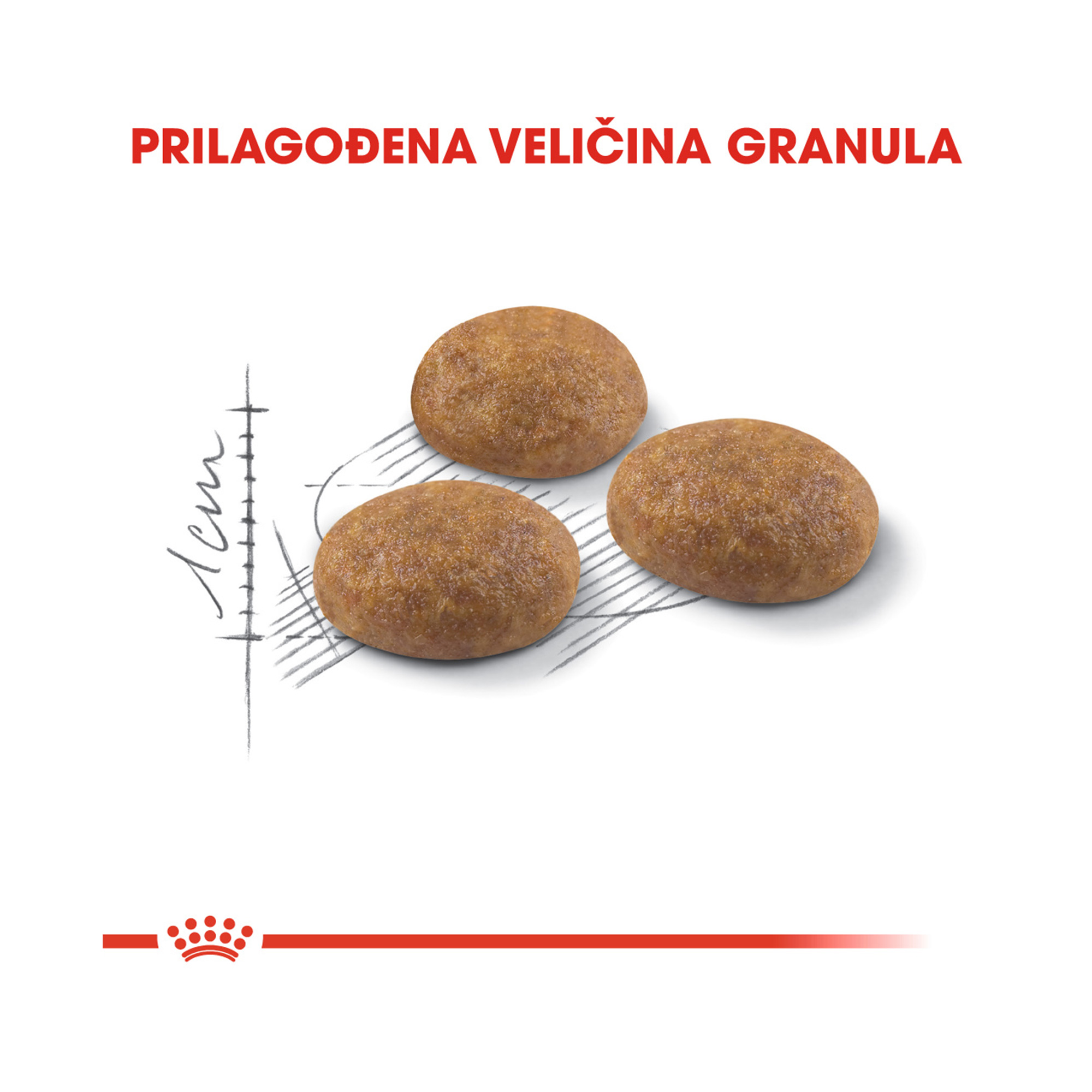 ROYAL CANIN FHN OUTDOOR 2 kg - Slika 2