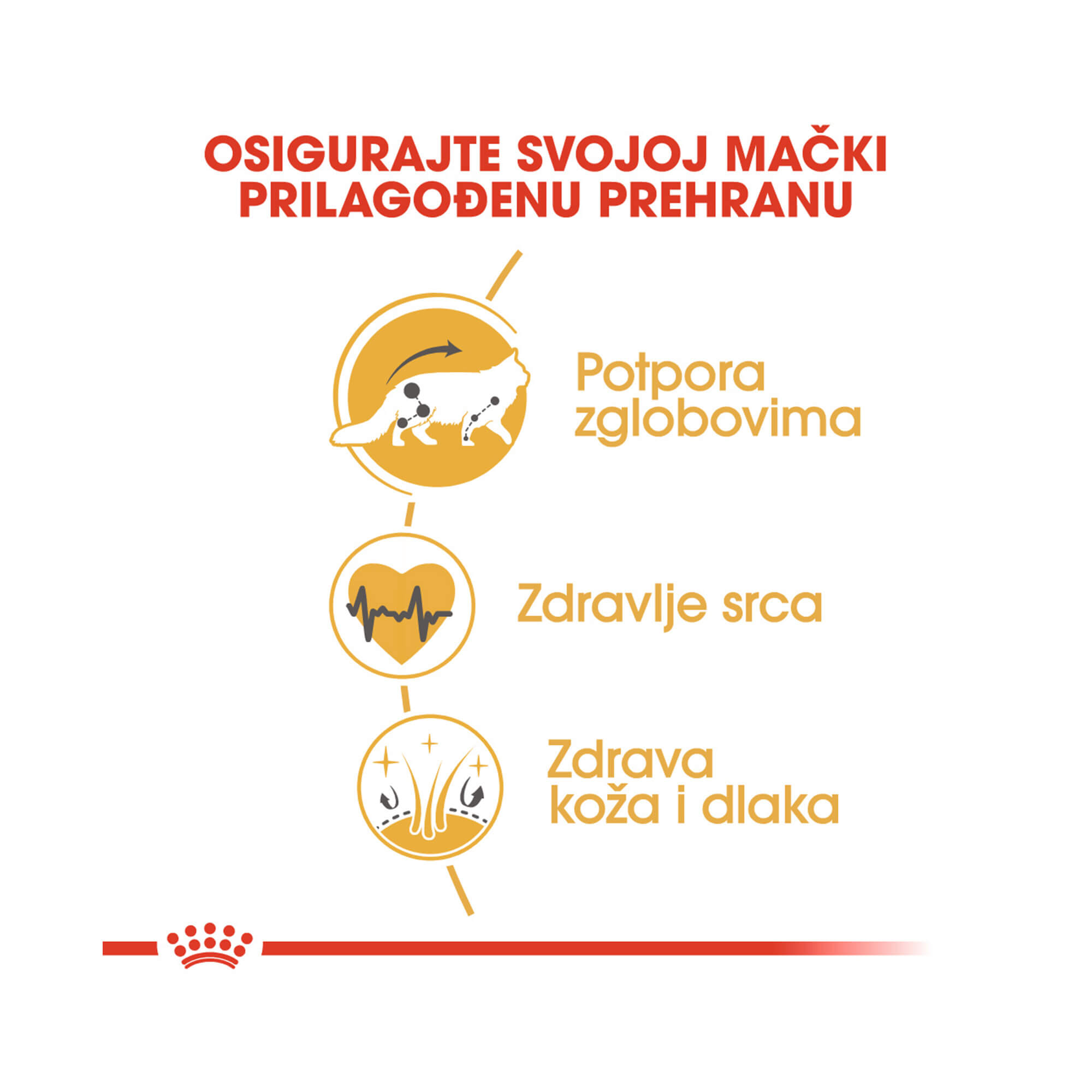 ROYAL CANIN FBN MAINECOON 10kg - Slika 3