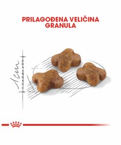 ROYAL CANIN FHN KITTEN 400 g - Slika 2