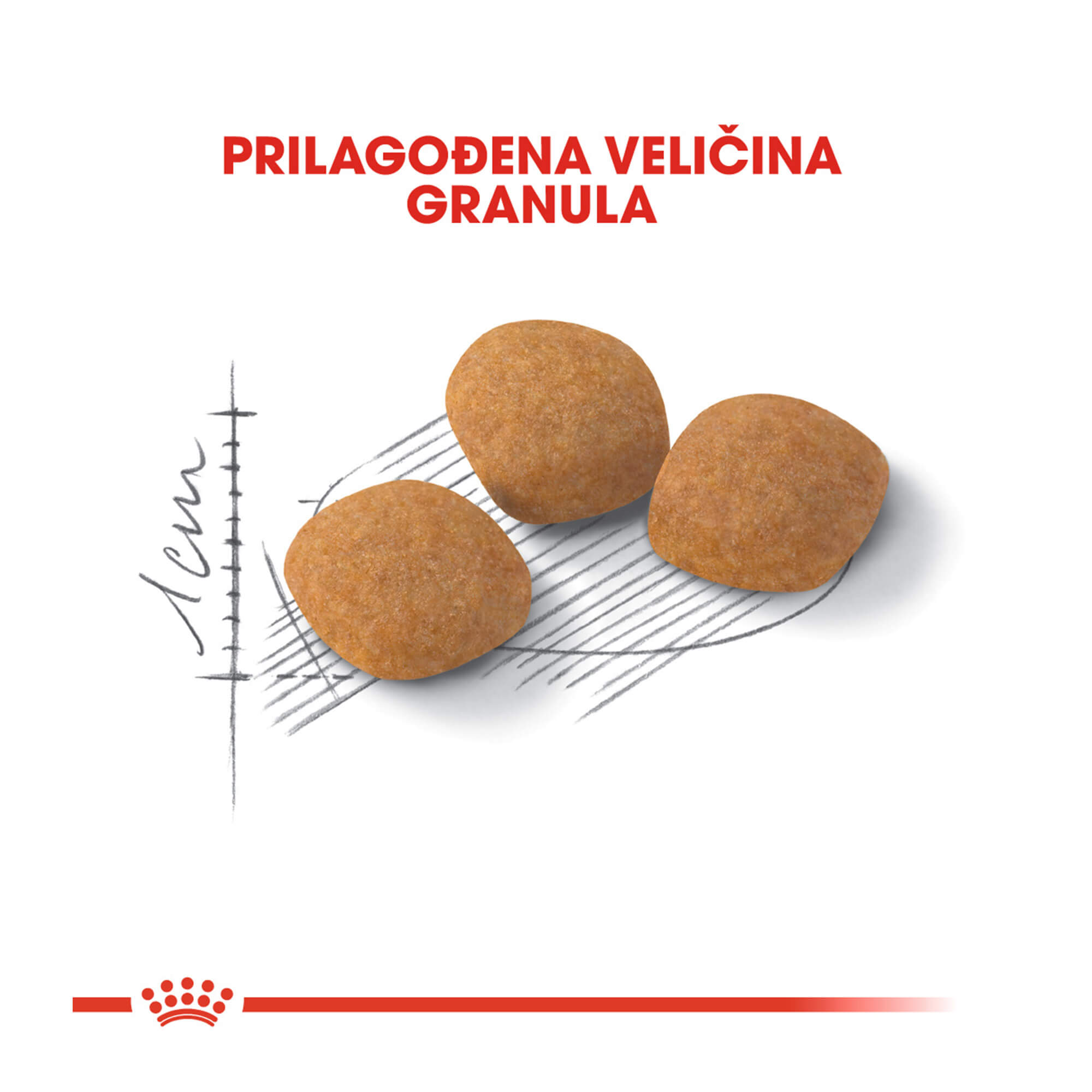 ROYAL CANIN FHN EXIGENT PROTEIN 10 kg - Slika 4
