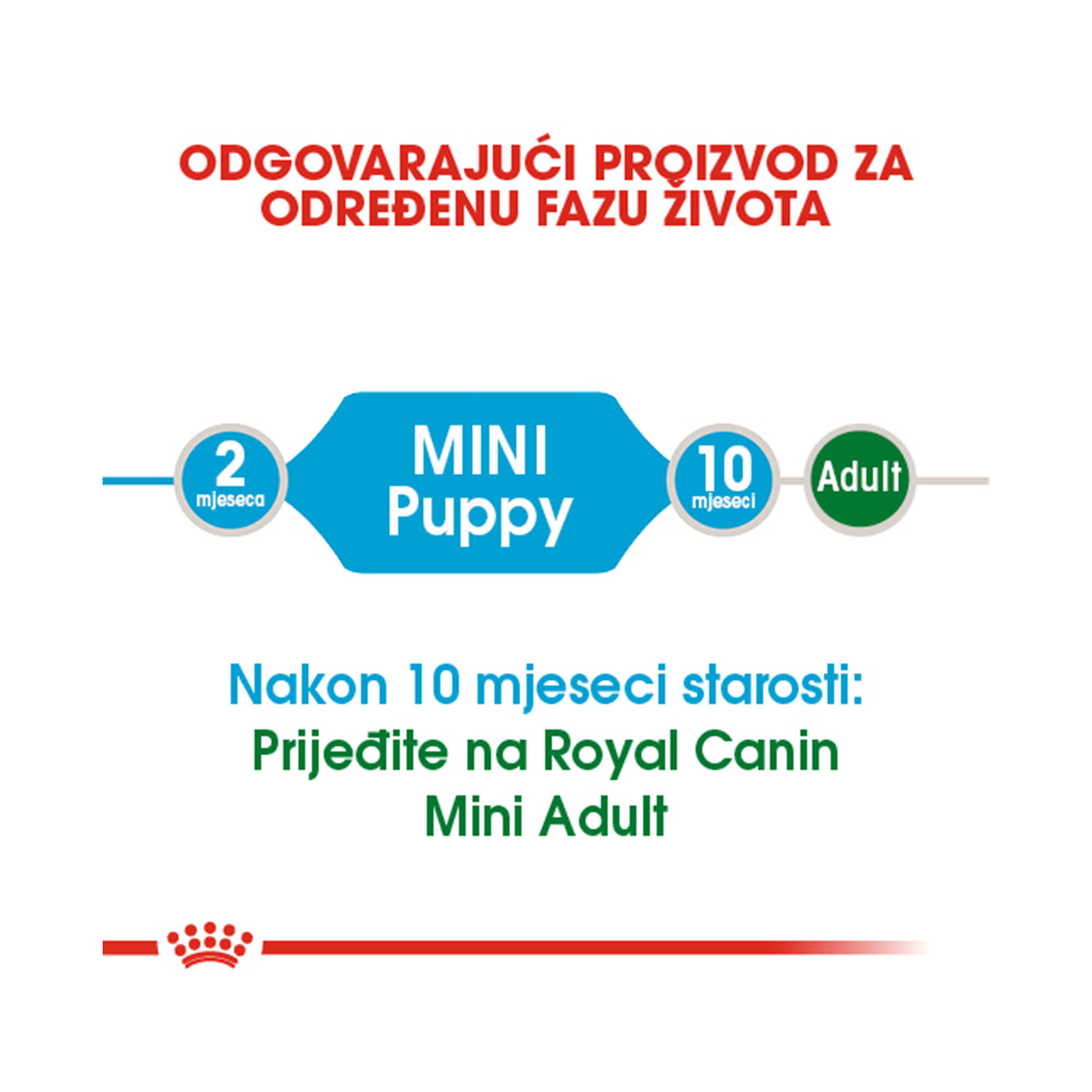 ROYAL CANIN SHN MINI PUPPY 2kg - Slika 4
