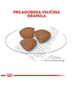ROYAL CANIN SHN MINI PUPPY 800g - Slika 2