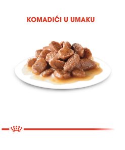ROYAL CANIN FHN STERILISED 85g - Slika 2