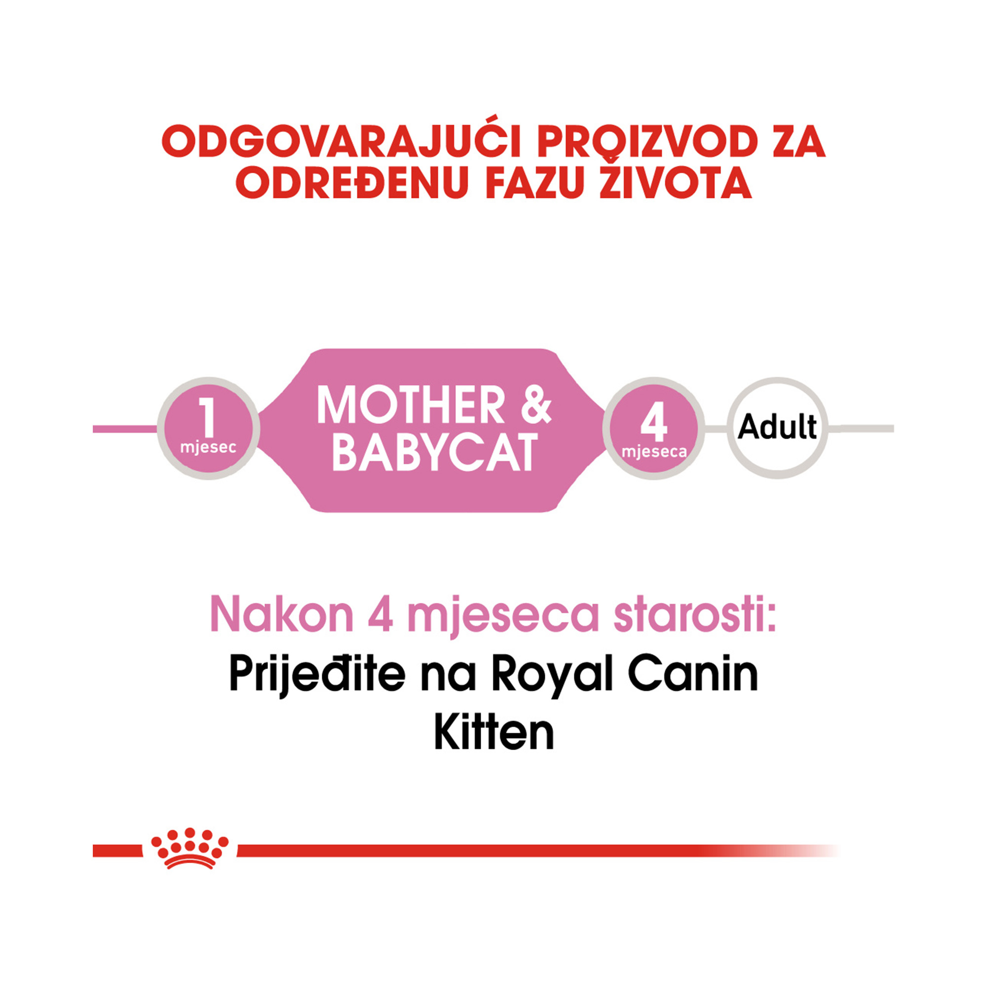 ROYAL CANIN FHN BABYCAT 195g - Slika 2