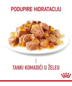 ROYAL CANIN FCN HAIR & SKIN JELLY 85g - Slika 5