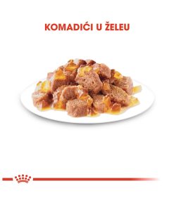 ROYAL CANIN FHN STERILISED JELLY 85g - Slika 2