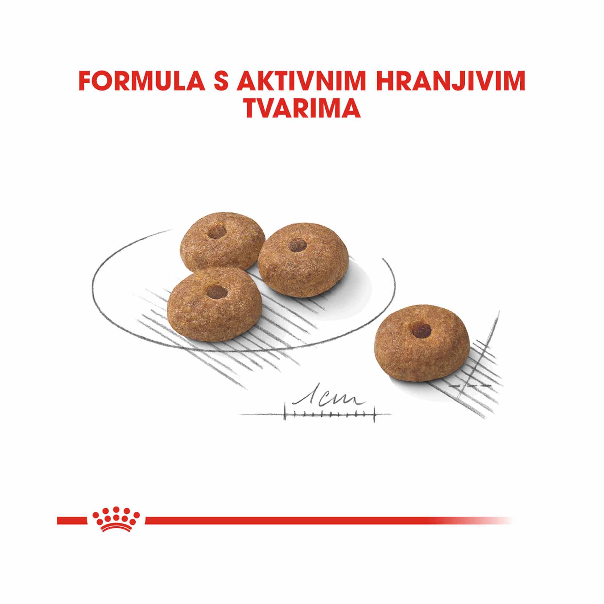 ROYAL CANIN CCN MINI STERILIZED ADULT 1kg - Slika 2