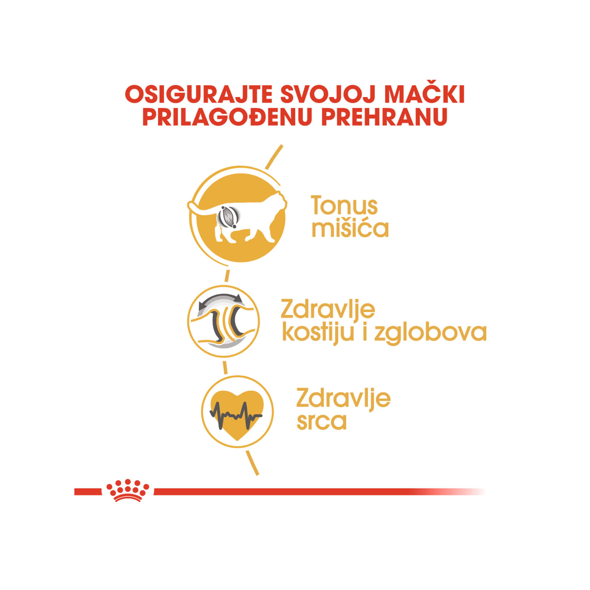 ROYAL CANIN FBN BRITISH SHORTHAIR 400g - Slika 4