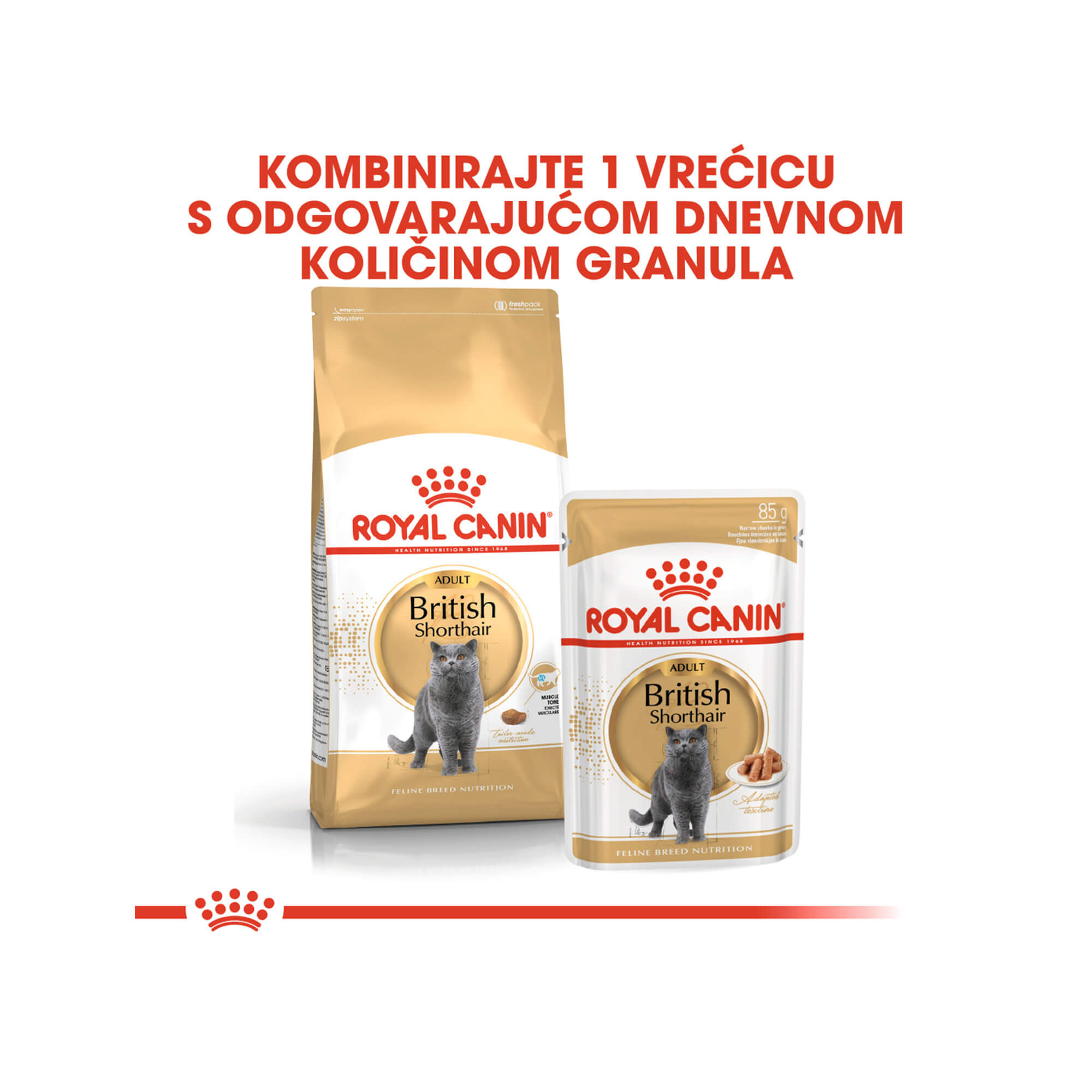 ROYAL CANIN FBN BRITISH SHORTHAIR 400g - Slika 5