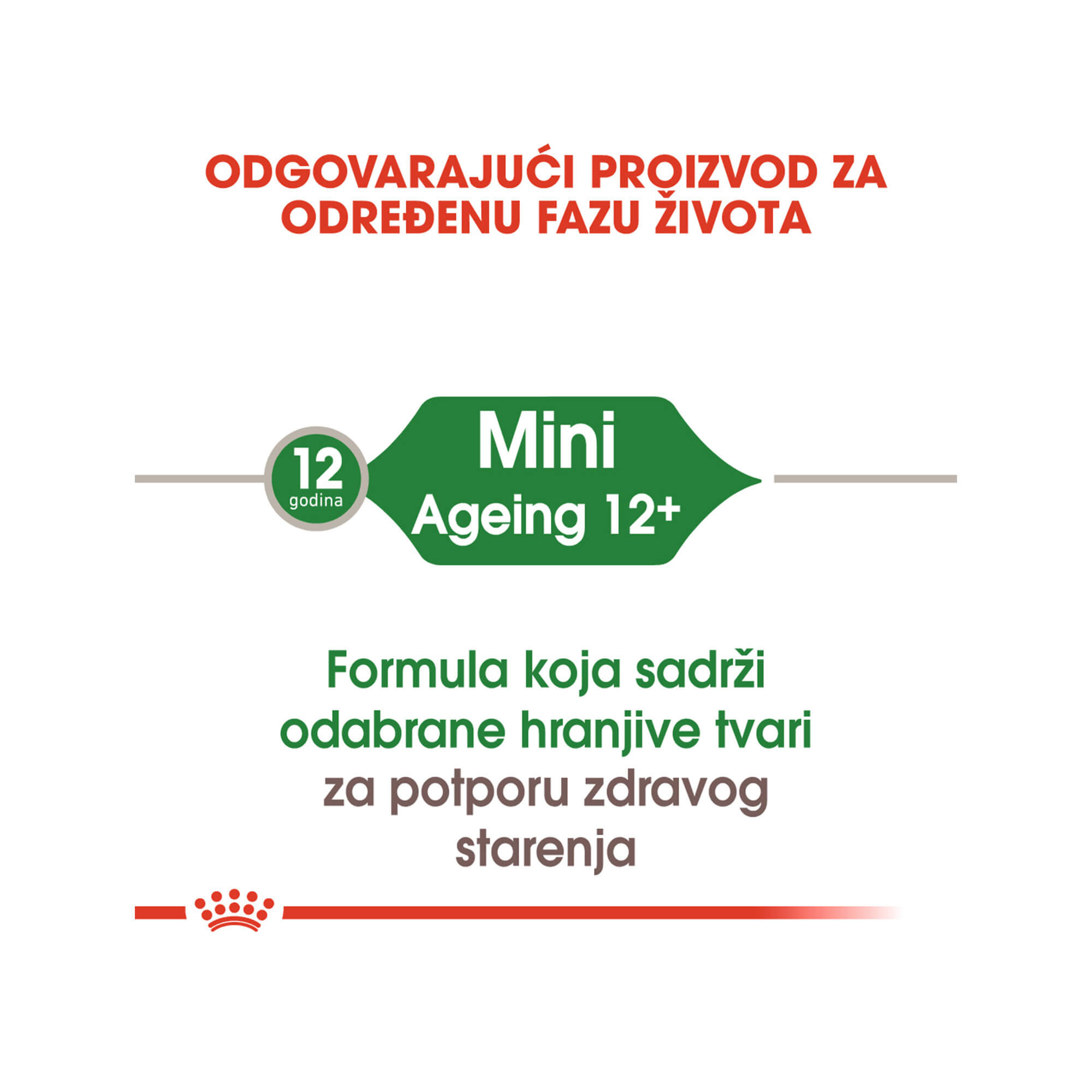 ROYAL CANIN SHN MINI AGEING 85 g - Slika 3