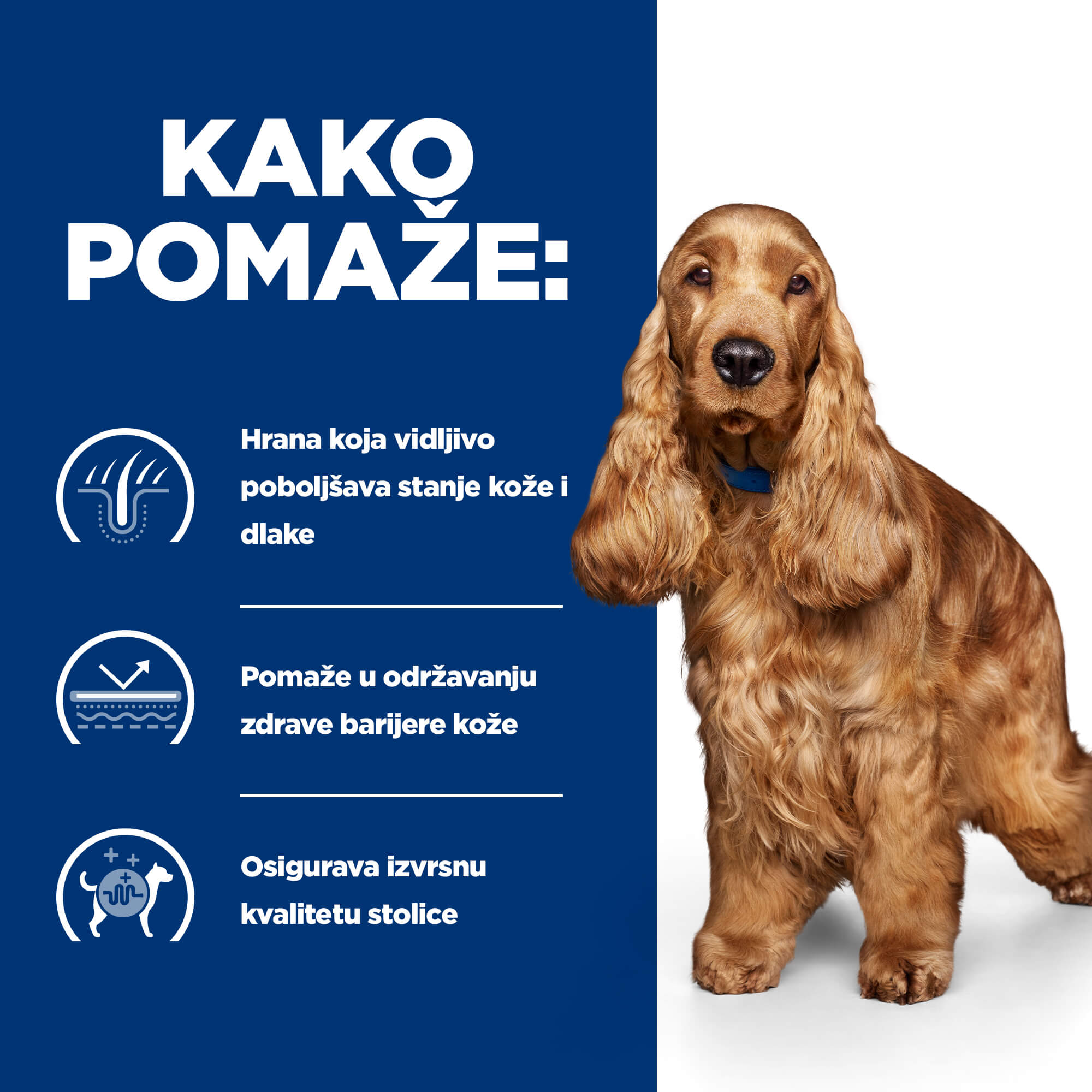 HPDD Z/D KONZERVA 370g - Slika 5