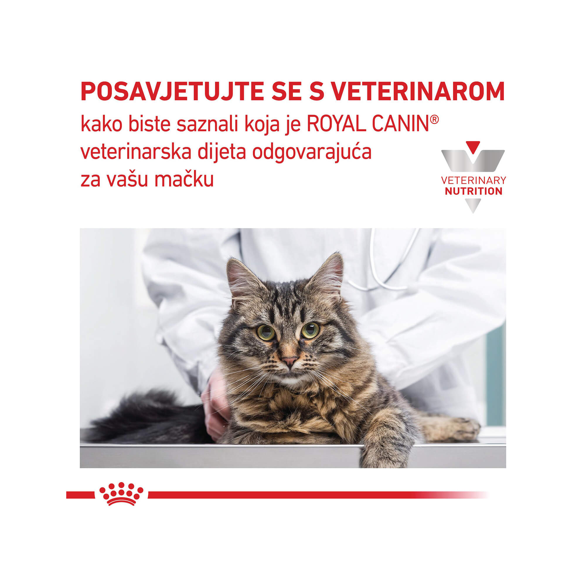 ROYAL CANIN VD RENAL PILETINA CAT 85 g - Slika 4