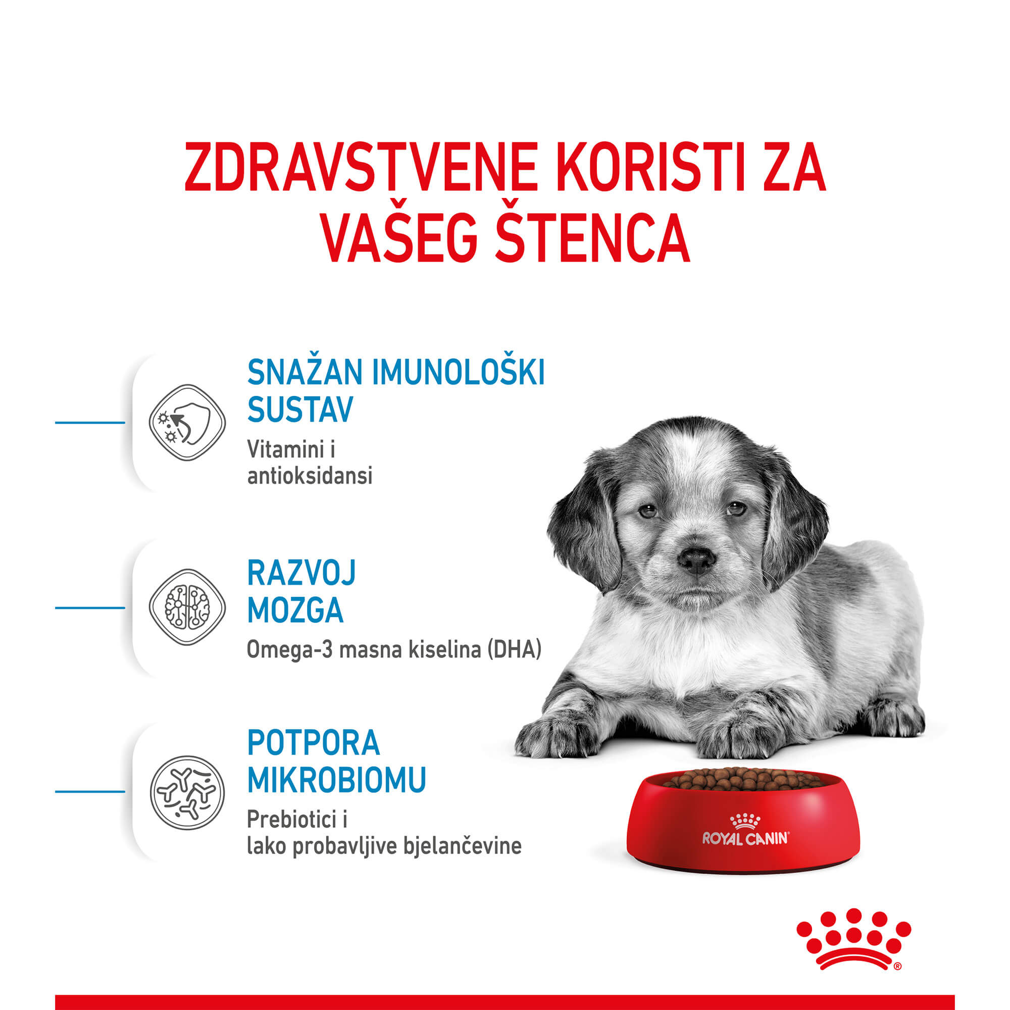 ROYAL CANIN SHN MEDIUM PUPPY 12 kg - Slika 3