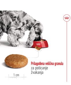 ROYAL CANIN SHN MEDIUM ADULT 12 kg - Slika 2