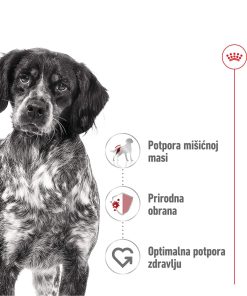 ROYAL CANIN SHN MEDIUM ADULT 12 kg - Slika 3