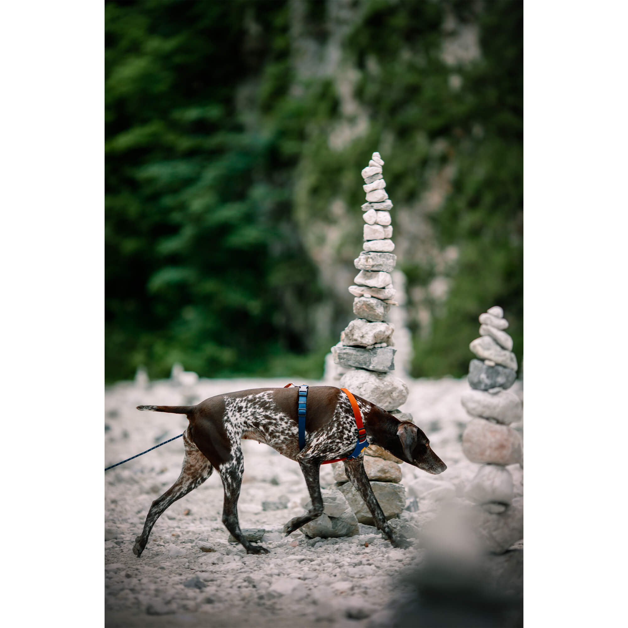 WW VODILICA WOOLLY WOLF TAMNOZELENA - Slika 2